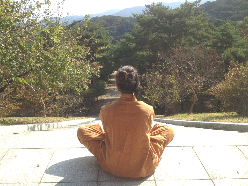 Tranquil Tranquil